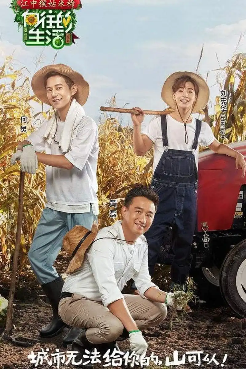 向往的生活海报